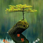 카페 프로필 이미지