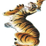 카페 프로필 이미지