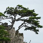 카페 프로필 이미지