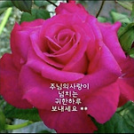 카페 프로필 이미지