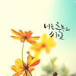 카페 프로필 이미지