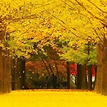 카페 프로필 이미지