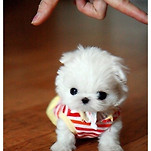 카페 프로필 이미지