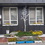 카페 프로필 이미지