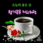 카페 프로필 이미지