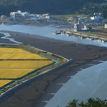 카페 프로필 이미지