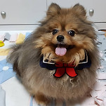 카페 프로필 이미지