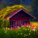 카페 프로필 이미지