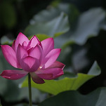 카페 프로필 이미지