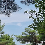 카페 프로필 이미지