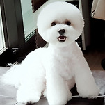 카페 프로필 이미지