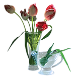 카페 프로필 이미지