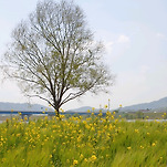 카페 프로필 이미지