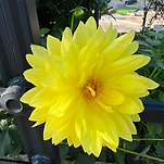 카페 프로필 이미지