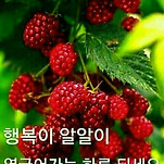 카페 프로필 이미지