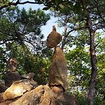 카페 프로필 이미지