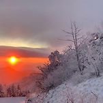 카페 프로필 이미지