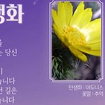 카페 프로필 이미지