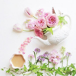 카페 프로필 이미지