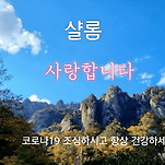 카페 프로필 이미지