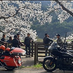 카페 프로필 이미지