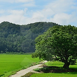 카페 프로필 이미지