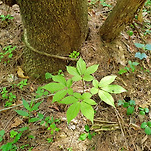 카페 프로필 이미지