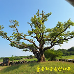 카페 프로필 이미지