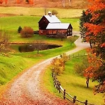 카페 프로필 이미지