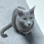 카페 프로필 이미지