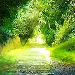 카페 프로필 이미지