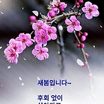 카페 프로필 이미지