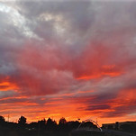 카페 프로필 이미지