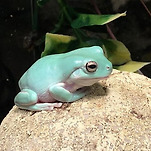 카페 프로필 이미지