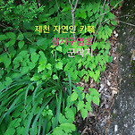 카페 프로필 이미지