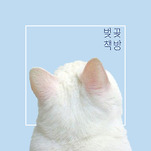 카페 프로필 이미지