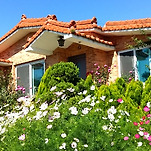 카페 프로필 이미지