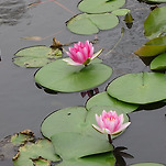 카페 프로필 이미지