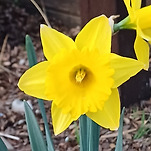 카페 프로필 이미지