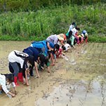 카페 프로필 이미지