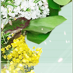 카페 프로필 이미지