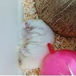 카페 프로필 이미지
