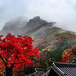 카페 프로필 이미지