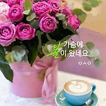 카페 프로필 이미지