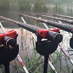 카페 프로필 이미지