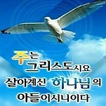 카페 프로필 이미지