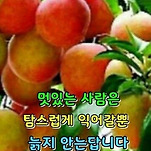 카페 프로필 이미지