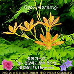 카페 프로필 이미지