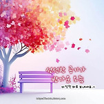 카페 프로필 이미지