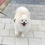 카페 프로필 이미지